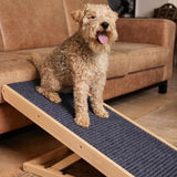 Foldable Pet Ramp