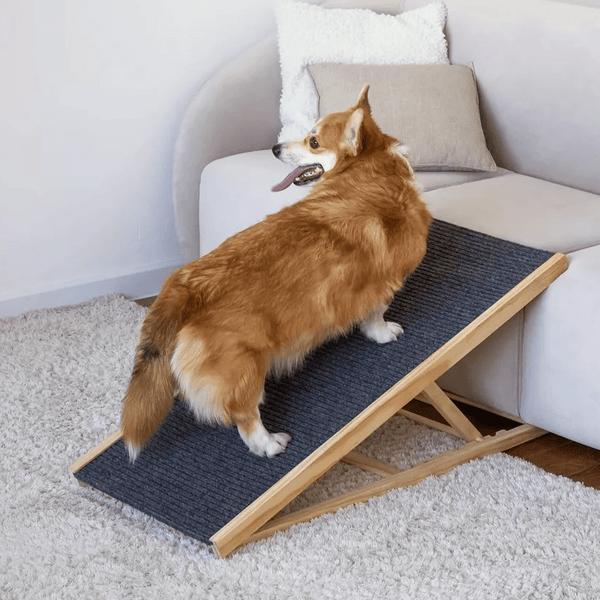 Foldable Pet Ramp